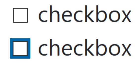 Two checkboxes, the second has a dark blue outline around it.